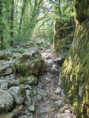 /album/16-au-19-avril-sejour-ardechois/t-38-a-2-jpg/